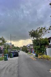 Chai Chee Avenue (D16), Terrace #508994741